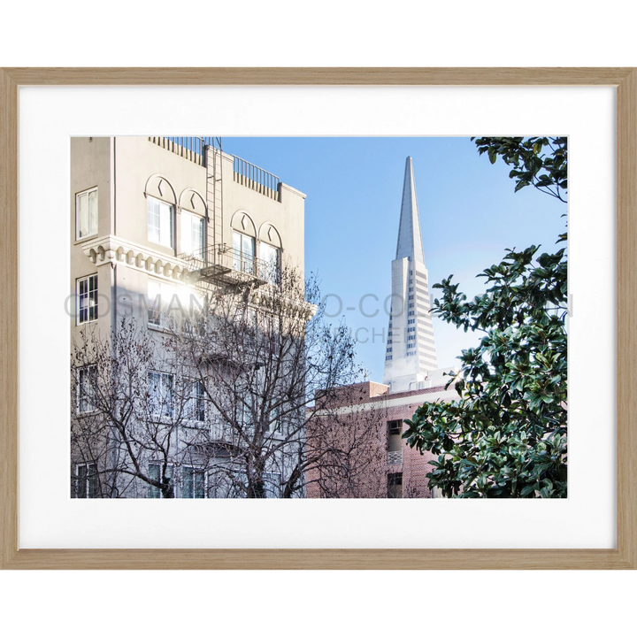 Poster San Francisco SF01 - Eiche Furnier 1.5cm / Motiv: