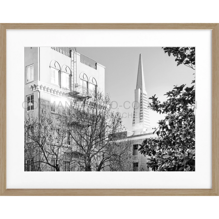 Poster San Francisco SF01 - Eiche Furnier 1.5cm / Motiv: