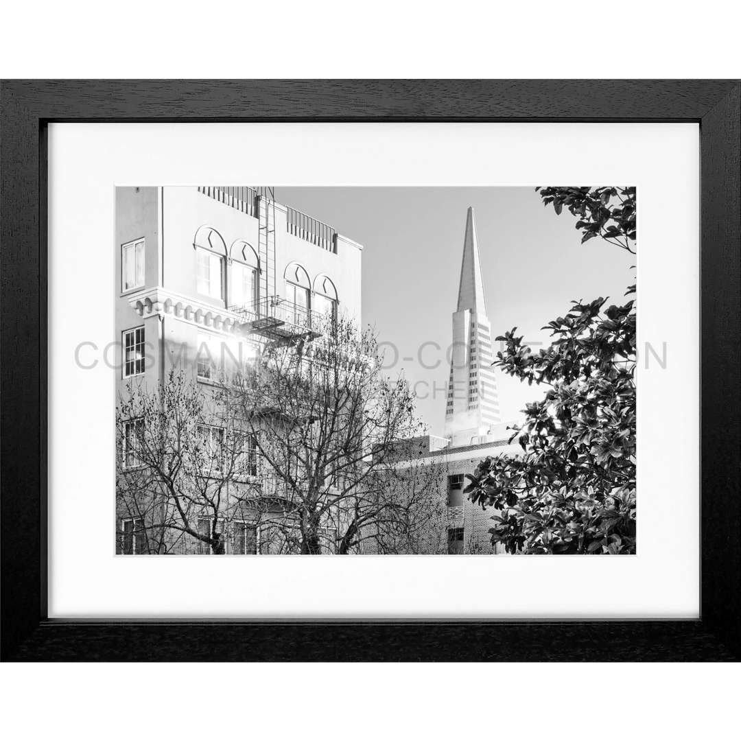 Poster San Francisco SF01 - Schwarz 3cm / Motiv: