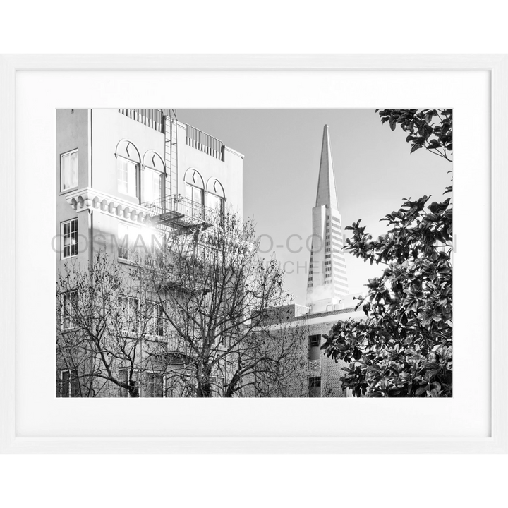 Poster San Francisco SF01 - Weiss 1.5cm / Motiv: